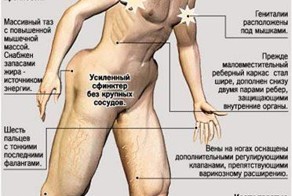 Смешной фотоприкол