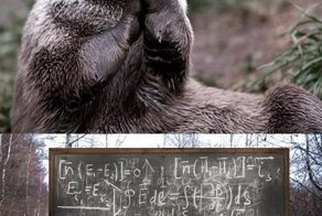 Свежий фотоприкол