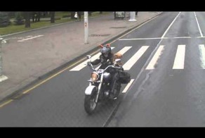 Девушка-лиса