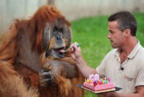 Фотоприкол дня