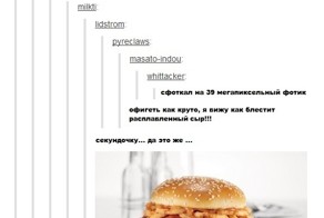 39 мегапиксельное фото бургера