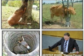 Иногда задумываешься, как они туда попали