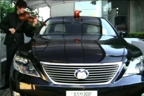 Автомобильная сирена на скрипке