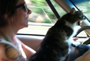 Красивые фото