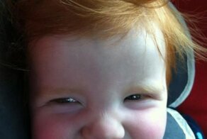 Бесплатно фото