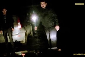 Нападение двух быков на семью