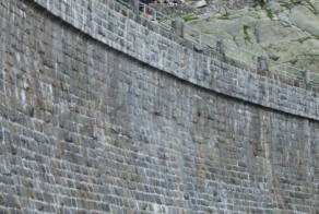 Альпийские козы акробаты!!!