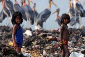 Умирающий заповедник Дипор-Бил