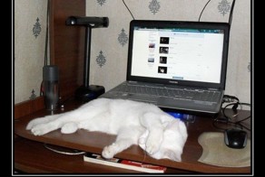 Смешной демотиватор от zubrilov за 18.07.2012 №121104