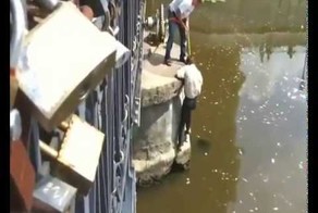 Мир не без добрых людей! Спасение животных.