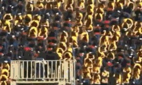 Китайцы жгут