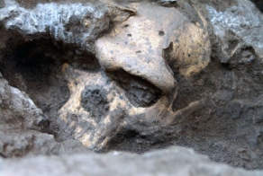 В Грузии нашли череп возрастом 1.8 миллиона лет