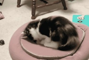 И всё равно я тебя достану!