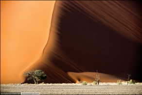 Пустыня Намиб. Плато Соссусфлей