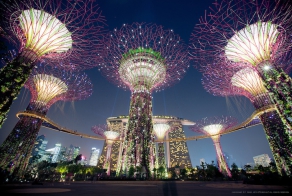 Сюрреальные супер-деревья в Сингапуре