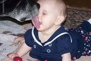 ребёнок и пёс