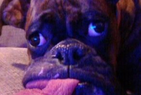 Фотоприкол онлайн