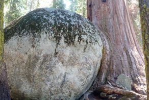 Фотоприкол