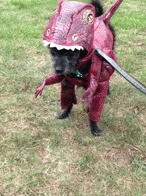 Оригинальный костюм на Хелоуин