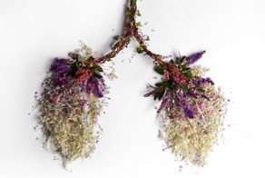 Копии человеческих органов из стеблей и листьев растений