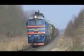 Собаке не хватает адреналина