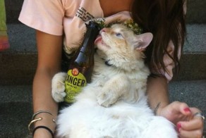 Шикарное фото