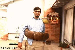 Костюм на Хеллоуин