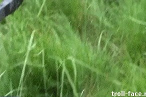 Нескончаемый запас патронов