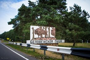 Прогулка по Беловежской пуще