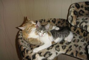 Шикарное фото