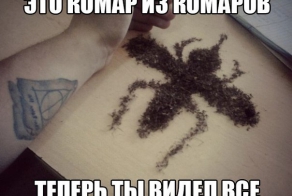 Теперь ты видел всё!