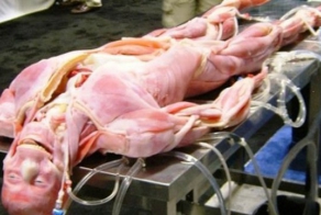 Американские студенты-медики получили новую "игрушку"