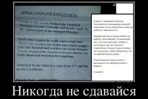 Демотиваторы