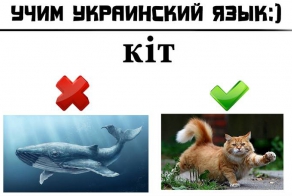 Учим украинскую мову