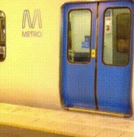 Правильно открыл дверь