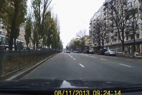 Кара леворядника