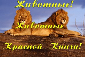 Животные! Животные Красной Книги! Очень красивая музыка!