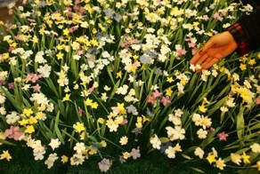 Выставка Общества экспериментальной еды