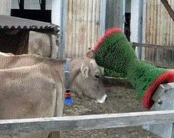 Аппарат кайфа