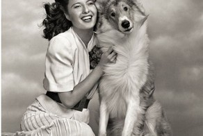 Фотографии знаменитых собак  1920-1950 х гг.