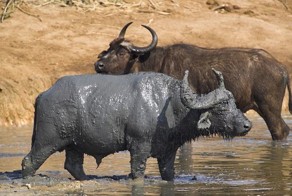 Фотоальбом