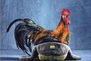 Ответный удар