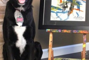 Пёс Арбор рисует картины для благотворительного фонда