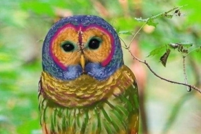 20 самых известных фотоподделок в мире