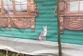 Нарисованный ремонт в Суздале