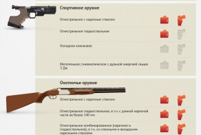 Всё о правилах приобретения и ношения оружия в России. Инфографика