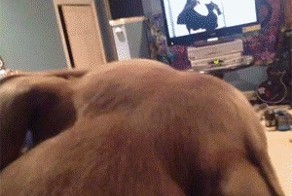 Так, что там у нас?