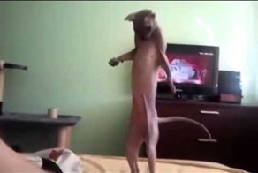 ух, что-то штырит меня