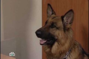 Хакер из сериала "Мухтар" вычисляет по IP!