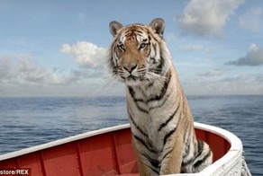 Что стоит за фразой "при съемках ни одного животного не пострадало"?